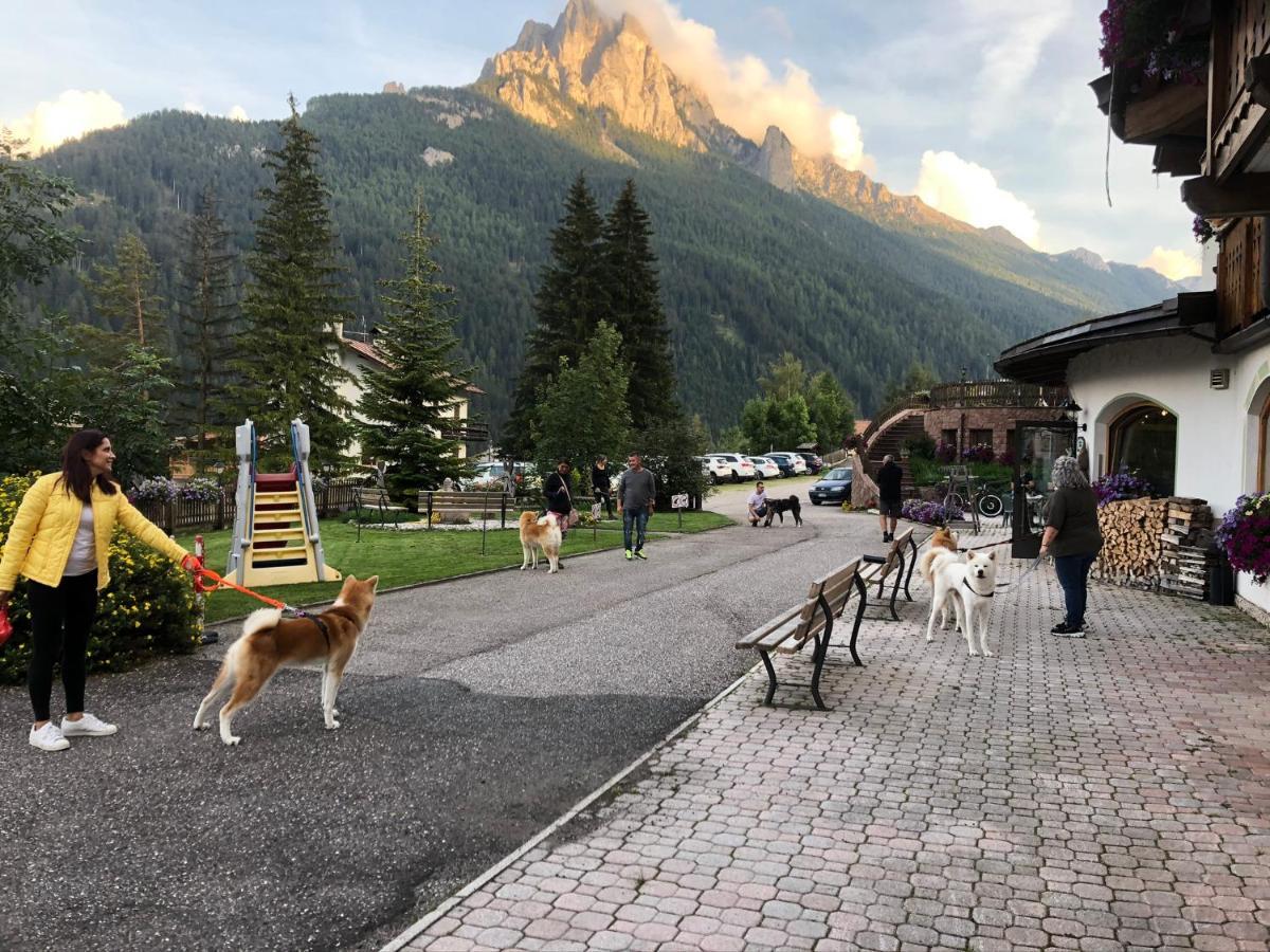 Alpine Touring Hotel-Petfriendly Pozza di Fassa Exterior foto